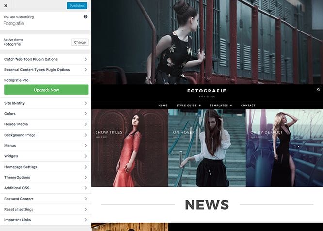 Fotografie WordPress theme in action