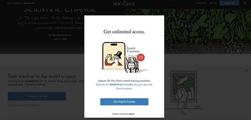 ecommerce-growth-strategy-new-yorker
