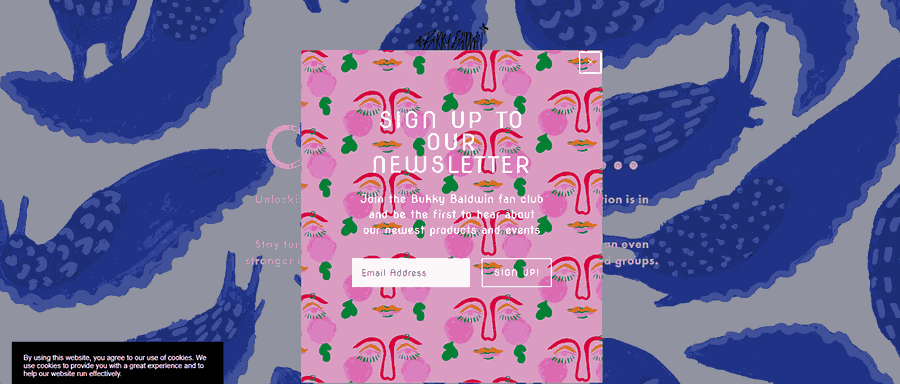 Bukky Baldwin website screenshot