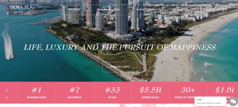 Dora Puig website screenshot