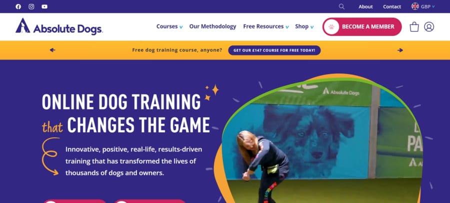 Absolute Dogs website screenshot
