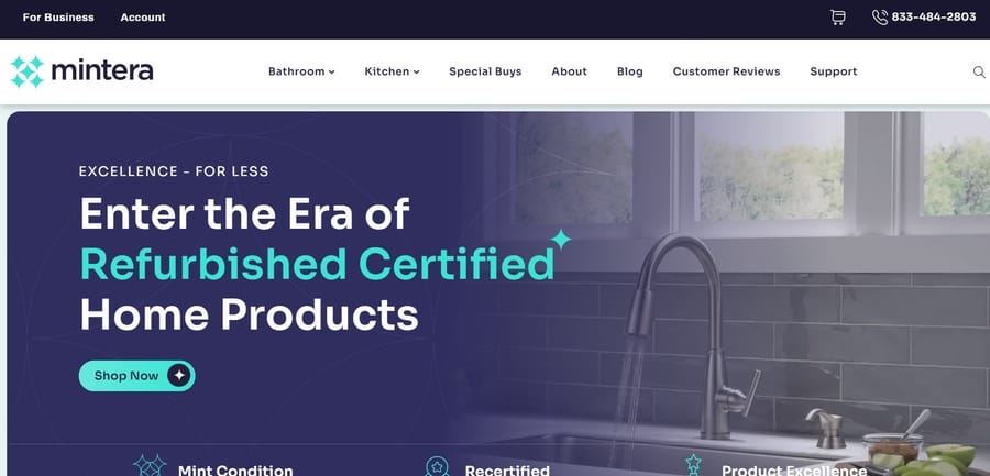 Mintera website screenshot