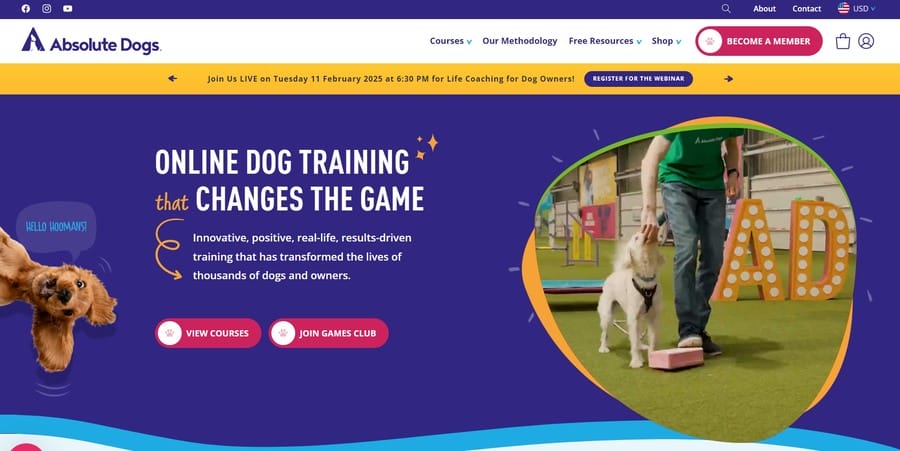 Absolute Dogs website screenshot
